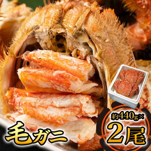 yӂ邳Ɣ[ŁzIz[cN kC  Jj уKj Ⓚ  440g 2 ӂ邳Ɣ[ CN  y0104801z