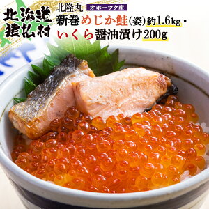 yӂ邳Ɣ[Łzk V߂ipj1.6kgEݖЂ200gZbg Iz[cNY | ݖЂ kC  CN ݖЂ  ؂g Y VR  TP  CN ӂ