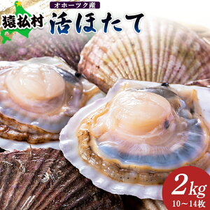 【ふるさと納税】「活ほたて」2kg(10〜14枚) オホーツク産【1601001】