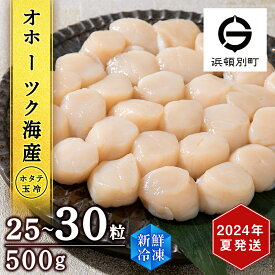 【ふるさと納税】【2024年夏発送】 ホタテ 北海道産 冷凍 貝柱 500g(250g×2個セット)【頓別漁業協同組合】刺身 玉冷 むき身 オホーツク海産 小分け ギフト ほたて 帆立北海道ふるさと納税 ふるさと納税 北海道 浜頓別 通販 贈答品 贈り物 おせち