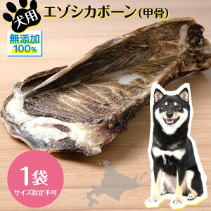 yӂ邳Ɣ[Łz   Y Y  G] {[ b (300g)   K p g[c ybgt[h hbOt[h G]VJkCӂ邳Ɣ[ ӂ邳Ɣ[ kC l