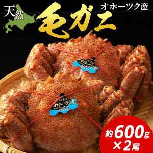 yӂ邳Ɣ[Łz уKj 600g×2 Jj I ъI Ⓚ kC Iz[cNY p I݂ kt {C kCӂ邳Ɣ[ ӂ邳Ɣ[ kC lڕ ʔ i 蕨