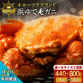 【ふるさと納税】【12月23日決済確定分まで年内発送】☆12月～3月発送☆選べる発送時期【楽天限定】 ☆北海道産 毛ガニ 選べる約440g～800g 1尾・2尾セット 計440g～1.6kg かに カニ 蟹 毛蟹 冷凍 北海道産 浜頓別町北海道ふるさと納税 ふるさと納税 北海道 浜頓別