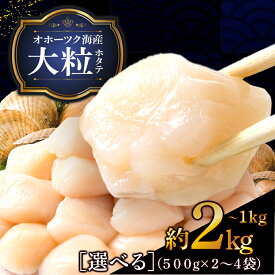 【ふるさと納税】 ほたて 貝柱 大粒 選べる2パック～4パック 冷凍 1パック500g(20〜25粒前後) お取り寄せ 刺身 《横田水産》北海道ホタテ ホタテ 刺身用 ほたて 帆立 貝柱 冷凍 刺身 オホーツク 海鮮 食品 通販 返礼品 ふるさと納税 北海道 浜頓別 贈答品 贈り物 おせち