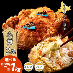 yӂ邳Ɣ[ŁzkCY уKj Iׂ400g×2E500g×2 Zbg {C  Ⓚ ܂ kCӂ邳Ɣ[ ӂ邳Ɣ[ kC lڕ ʔ i 蕨