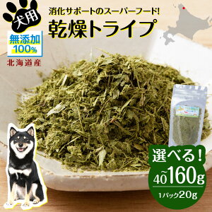 yӂ邳Ɣ[Łz   Y Y O[gCv Iׂ40g`160g 1pbN20g ybg GT a lڕ kCp ybgt[h hbOt[h kCӂ邳Ɣ[ ӂ邳Ɣ[ k