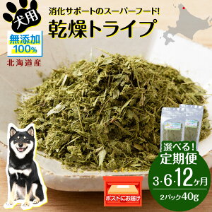 yӂ邳Ɣ[Łz yցz   Y Y O[gCv 40g (20g×2) Iׂ3`12 ybg a GT lڕ kCp ybgt[h hbOt[h kCӂ邳