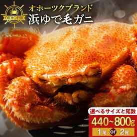 【ふるさと納税】☆選べる発送時期☆順次発送　2月〜3月発送【楽天限定】 ☆北海道産 毛ガニ 選べる約440g〜800g 1尾・2尾セット 計440g〜1.6kg かに カニ 蟹 毛蟹 冷凍 北海道産 浜頓別町北海道ふるさと納税 ふるさと納税 北海道 浜頓別《お年玉企画》