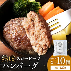 【ふるさと納税】 放牧牛 スロービーフ ハンバーグ 選べる2個～10個(計240g～1.2kg) 1個120g 杉山牧場 北海道 浜頓別 肉 牛 牛肉 ウエットエイジング北海道ふるさと納税 ふるさと納税 北海道 浜頓別 通販 贈答品 贈り物