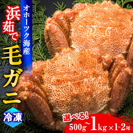 【ふるさと納税】冷凍 毛ガニ 選べる大きさ・尾数　毛蟹（約500g～約1kg） 1尾または2尾 かに カニ 蟹 北海道産 浜頓別町北海道ふるさと納税 ふるさと納税 北海道 浜頓別 通販 贈答品 贈り物