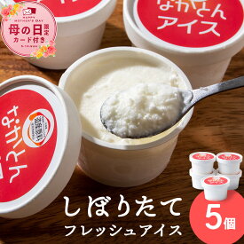 【ふるさと納税】【母の日フェア 4/27入金分まで】アイス セット アイスクリーム 5個 ギフト スイーツアイス アイスクリーム 洋菓子 お菓子 スイーツ 牛乳 北海道牛乳 ふるさと納税 北海道 中頓別町 夏ギフト