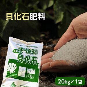 yӂ邳Ɣ[Łz엿 L 20kg 1 y  ~l L 엿 _앨 ~l  y ɂ₳ ӂ邳Ɣ[ kC ڕʒ