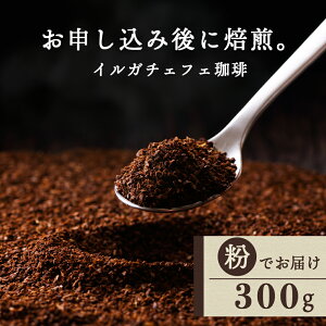 yӂ邳Ɣ[Łz  CK`FtFij 300gR[q[ R[q[ CK`FtF    ӂ邳Ɣ[ kC ڕʒ