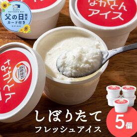 【ふるさと納税】【父の日フェア 6/10入金分まで】アイス セット アイスクリーム 5個 ギフト スイーツアイス アイスクリーム 洋菓子 お菓子 スイーツ 牛乳 北海道牛乳 ふるさと納税 北海道 中頓別町 夏ギフト