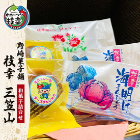 【ふるさと納税】老舗 野崎菓子店の和菓子詰合せ「枝幸 三笠山」お菓子 まんじゅう 饅頭 お菓子 もなか 最中