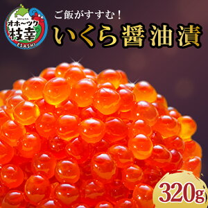 yӂ邳Ɣ[ŁzîݖЂ 320gL 