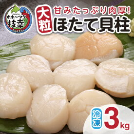 【ふるさと納税】【枝幸ほたて】甘みたっぷり肉厚！大粒冷凍ほたて貝柱3kg 山武水産　【魚貝類・帆立・ホタテ】