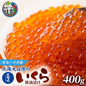【ふるさと納税】北隆丸自慢のいくら醤油漬け400g オホーツク枝幸産【 いくら イクラ 鮭 鮭卵 魚卵 魚貝 魚介 加工食品 北海道 オホーツク 枝幸 】