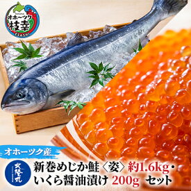 【ふるさと納税】北隆丸 新巻めじか鮭〈姿〉約1.6kg・いくら醤油漬け200gセット オホーツク枝幸産【 いくら イクラ 鮭 サーモン 鮭卵 魚卵 魚貝 魚介 加工食品 北海道 オホーツク 枝幸 】