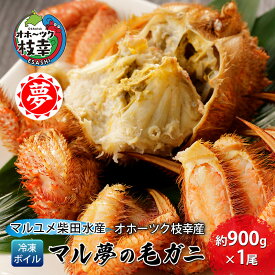 【ふるさと納税】オホーツク枝幸産 マル夢の毛ガニ約900g×1尾【冷凍ボイル】柴田水産【 枝幸産 毛ガニ 蟹 かに カニ 北海道 オホーツク 枝幸 】