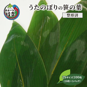 yӂ邳Ɣ[Łzm`ρn̂ڂ̗̍t2STCY100i20×5pbNjyIz[cN}Kz19.5cm×6cmG pi pi