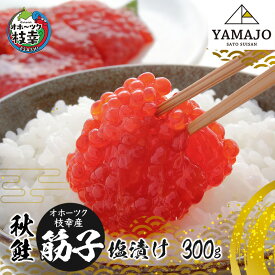 【ふるさと納税】オホーツク枝幸産 秋鮭 筋子300g［塩漬け］山上佐藤水産 【 魚貝類 いくら 魚卵 北海道 オホーツク 枝幸 】