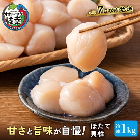 【ふるさと納税】プロも認めるオホーツクブランド「枝幸ほたて」冷凍貝柱1kg（3Sサイズ：41粒～50粒）枝幸漁協　【 魚貝類 貝類 海の幸 北海道 3Sサイズ 枝幸産 刺身 つまみ 肴 お酒のお供 お酒のあて 】