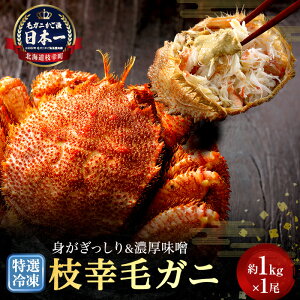 yӂ邳Ɣ[Łzylʓ{z̈iIIⓀu}KтɁv1kg×1 ъI уKj Iz[cN kCHHi n̂̕i J^O уJj