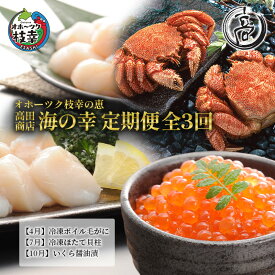 【ふるさと納税】オホーツク枝幸の恵 海の幸 年3回 定期便 [2026年4月発送開始] 丸高 高田商店【 魚貝類 いくら 魚卵 帆立 ホタテ サーモン 鮭 北海道 オホーツク 枝幸 】　お届け：2026年4月より出荷開始