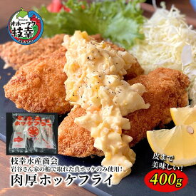 【ふるさと納税】北海道 枝幸町 岩谷さん家の船の 肉厚 ホッケ フライ (400g)加工食品 白身フライ おかず 惣菜 お弁当 時短 揚げ物 夕飯 魚料理