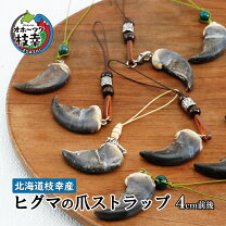 楽天市場】熊の爪の通販