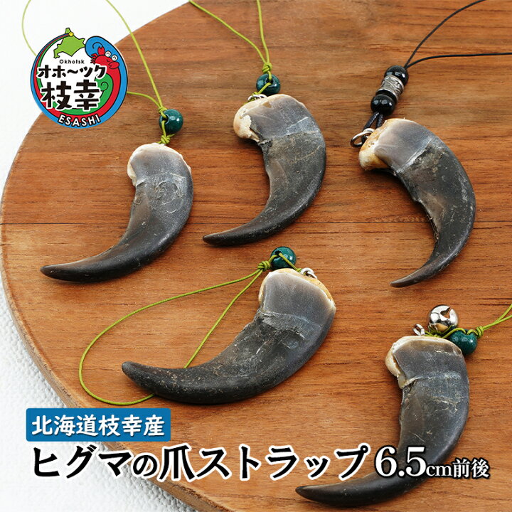楽天市場】【ふるさと納税】北海道枝幸産 ヒグマの爪ストラップ 6.5cm 