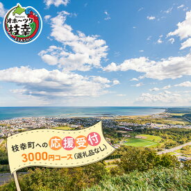 【ふるさと納税】北海道枝幸町 寄附のみの応援受付 3,000円コース（返礼品なし 寄附のみ 3000円）　【 自治体支援 自治体応援 お礼の品なし ふるさと支援 ふるさと応援 まちづくり 子育て 教育福祉 】