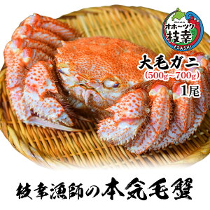 yӂ邳Ɣ[ŁzylъI𑦃{CI}Kt̖{CъIzуKj(500g`700g)1y Jj I уKj т ъI 䥂 Ⓚ kC Iz[cN }K z