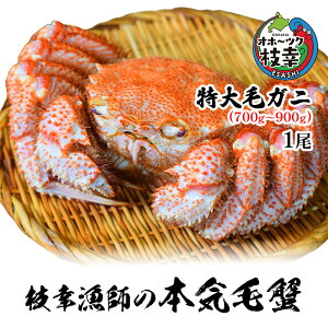 yӂ邳Ɣ[ŁzylъI𑦃{CI}Kt̖{CъIzуKj(700g`900g)1y Jj I уKj т ъI 䥂 Ⓚ kC Iz[cN }K z