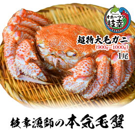 【ふるさと納税】【朝獲れ毛蟹を即ボイル！枝幸漁師の本気毛蟹】超特大毛ガニ(900g～1000g)1尾入【 カニ 蟹 毛ガニ 毛がに 毛蟹 朝茹で 冷凍 北海道 オホーツク 枝幸 】