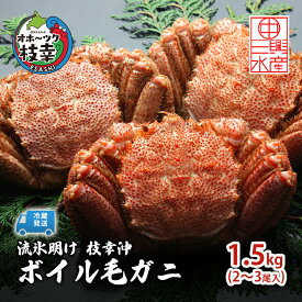 【ふるさと納税】〈冷蔵発送〉流氷明け 枝幸沖 ボイル毛ガニ 1.5kg (2～3尾入) 先行予約【2026年3月頃発送予定】旬の味覚［丸中三興水産］オホーツク枝幸 前浜【 蟹 魚介 北海道 枝幸 】　お届け：2026年3月中旬～3月下旬※気候や漁獲状況により大幅に変わるため目安です。
