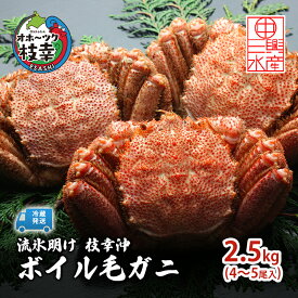 【ふるさと納税】〈冷蔵発送〉流氷明け 枝幸沖 ボイル毛ガニ 2.5kg (4～5尾入) 先行予約【2026年3月頃発送予定】旬の味覚［丸中三興水産］オホーツク枝幸 前浜【 蟹 魚介 北海道 枝幸 】　お届け：2026年3月中旬～3月下旬※気候や漁獲状況により大幅に変わるため目安です。