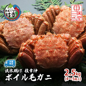 yӂ邳Ɣ[Łzq①rX }K {CуKj 2.5kg (4`5) s\y2026N3\z{̖omےOYnIz[cN}K Oly I  kC }K z@