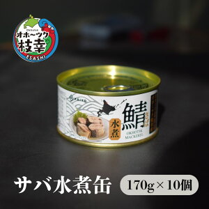 yӂ邳Ɣ[ŁzkCIz[cN}KY ΐ ʋl170g×10 gtbVpbNImCmHiny  To To ʋl VN y ۑ  HHi L  kC Iz