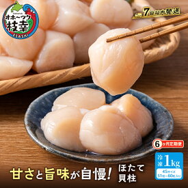 【ふるさと納税】全6回 定期便 プロも認めるオホーツクブランド「枝幸ほたて」冷凍貝柱1kg （4Sサイズ：51粒～60粒）枝幸漁協 【 刺身 魚介 帆立 超目玉 魚貝類 貝類 海の幸 枝幸産 つまみ 肴 お酒のお供 お酒のあて 北海道 オホーツク 枝幸 】