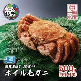 【ふるさと納税】〈冷蔵発送〉流氷明け 枝幸沖 ボイル毛ガニ 500g前後×1尾 先行予約【2026年3月頃発送予定】旬の味覚［丸中三興水産］オホーツク枝幸 前浜【 蟹 魚介 北海道 枝幸 】　お届け：2026年3月中旬～3月下旬※気候や漁獲状況により大幅に変わるため目安です。