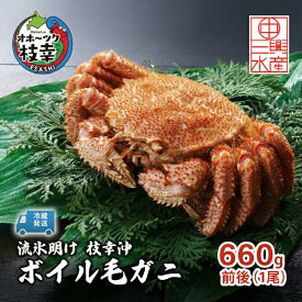 【ふるさと納税】〈冷蔵発送〉流氷明け 枝幸沖 ボイル毛ガニ 660g前後×1尾 先行予約【2026年3月頃発送予定】旬の味覚［丸中三興水産］オホーツク枝幸 前浜【 蟹 魚介 北海道 枝幸 】　お届け：2026年3月中旬～3月下旬※気候や漁獲状況により大幅に変わるため目安です。