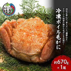 【ふるさと納税】【枝幸毛ガニ】冷凍ボイル毛がに 約670g×1尾 流氷明け 身入り抜群［壽綜合商事］【 カニ 蟹 毛ガニ 毛がに 毛蟹 かにみそ 蟹味噌 ボイル 茹で 冷凍 北海道 オホーツク 枝幸 】