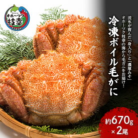 【ふるさと納税】【枝幸毛ガニ】冷凍ボイル毛がに 約670g×2尾 流氷明け 身入り抜群［壽綜合商事］【 カニ 蟹 毛ガニ 毛がに 毛蟹 かにみそ 蟹味噌 ボイル 茹で 冷凍 北海道 オホーツク 枝幸 】