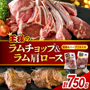 yӂ邳Ɣ[Łz_]4.78^ Iׂ `bv [X | [X    r t Hה H  o[xL[ BBQ Ă  蕨 Mtg 