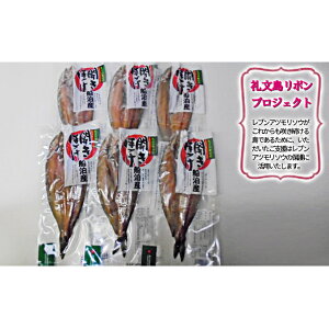 リボン 魚の人気商品 通販 価格比較 価格 Com