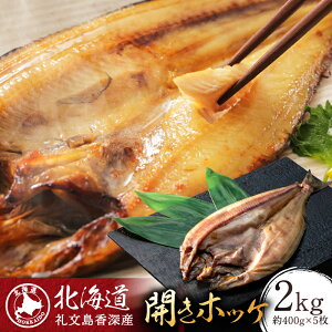 yӂ邳Ɣ[ŁzkC當[Y JzbP400gi1j×5 L  HHi