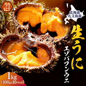 yӂ邳Ɣ[ŁzkC 當Y ̂ꂽ otEj pbN 100g×10  Ej  L _O 1kg @͂F2026N6`7܂