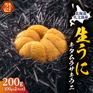 yӂ邳Ɣ[ŁzkC 當Y ̂ꂽ L^TLEj pbN 100g×2  Ej  L _O 200g @͂F2026N5`9܂